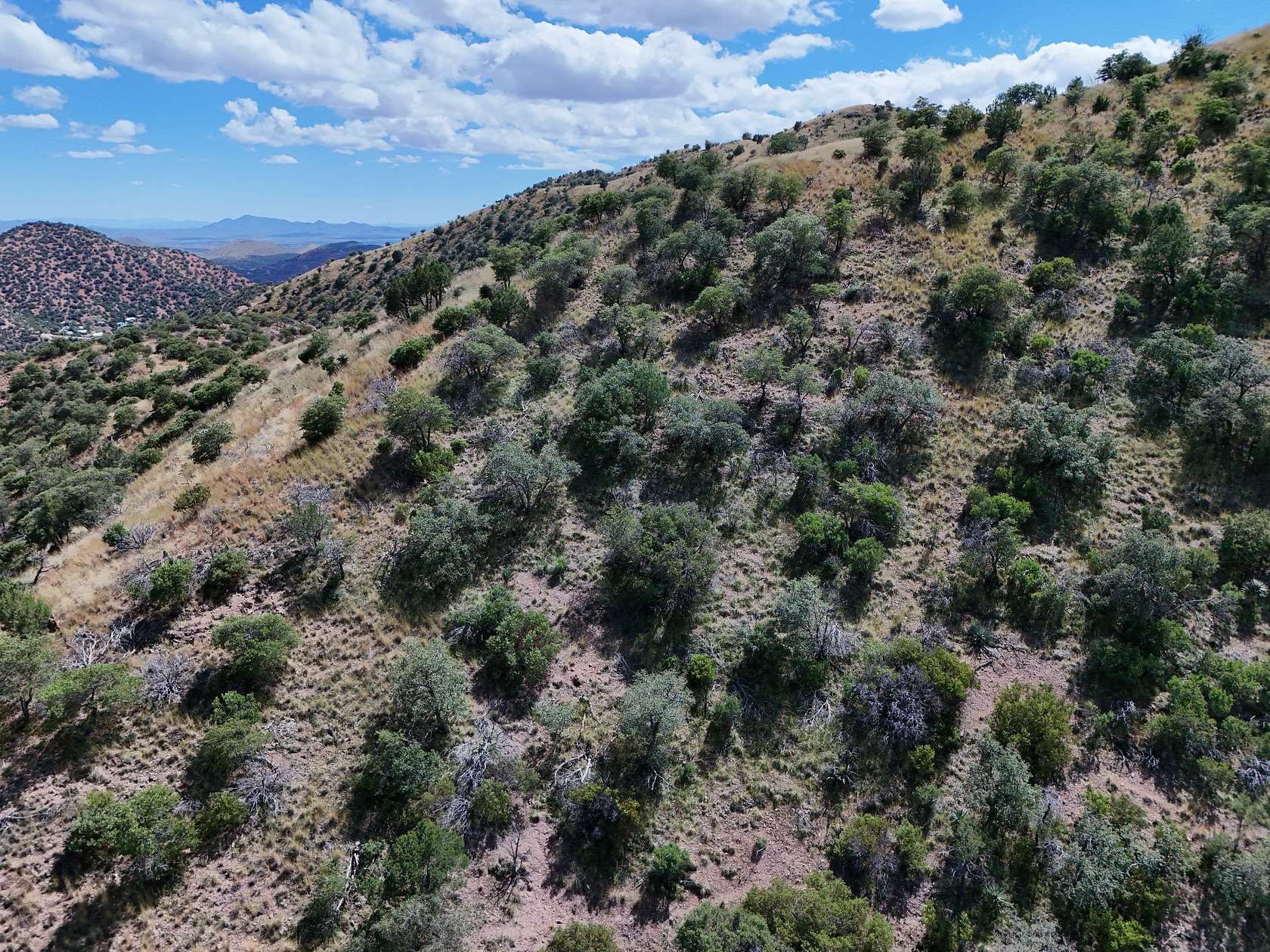 70.94 Acres of Recreational Land for Sale in Bisbee, Arizona