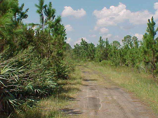 2.5 Acres of Recreational Land for Sale in Oak Hill, Florida