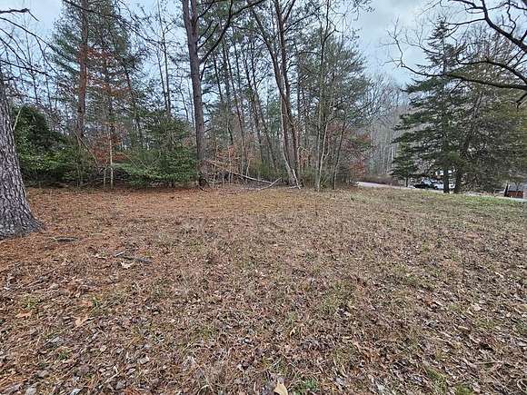 0.91 Acres of Residential Land for Sale in Franklin, North Carolina