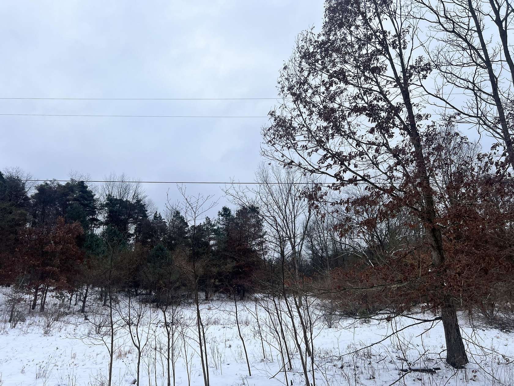 20 Acres of Land for Sale in Battle Creek, Michigan