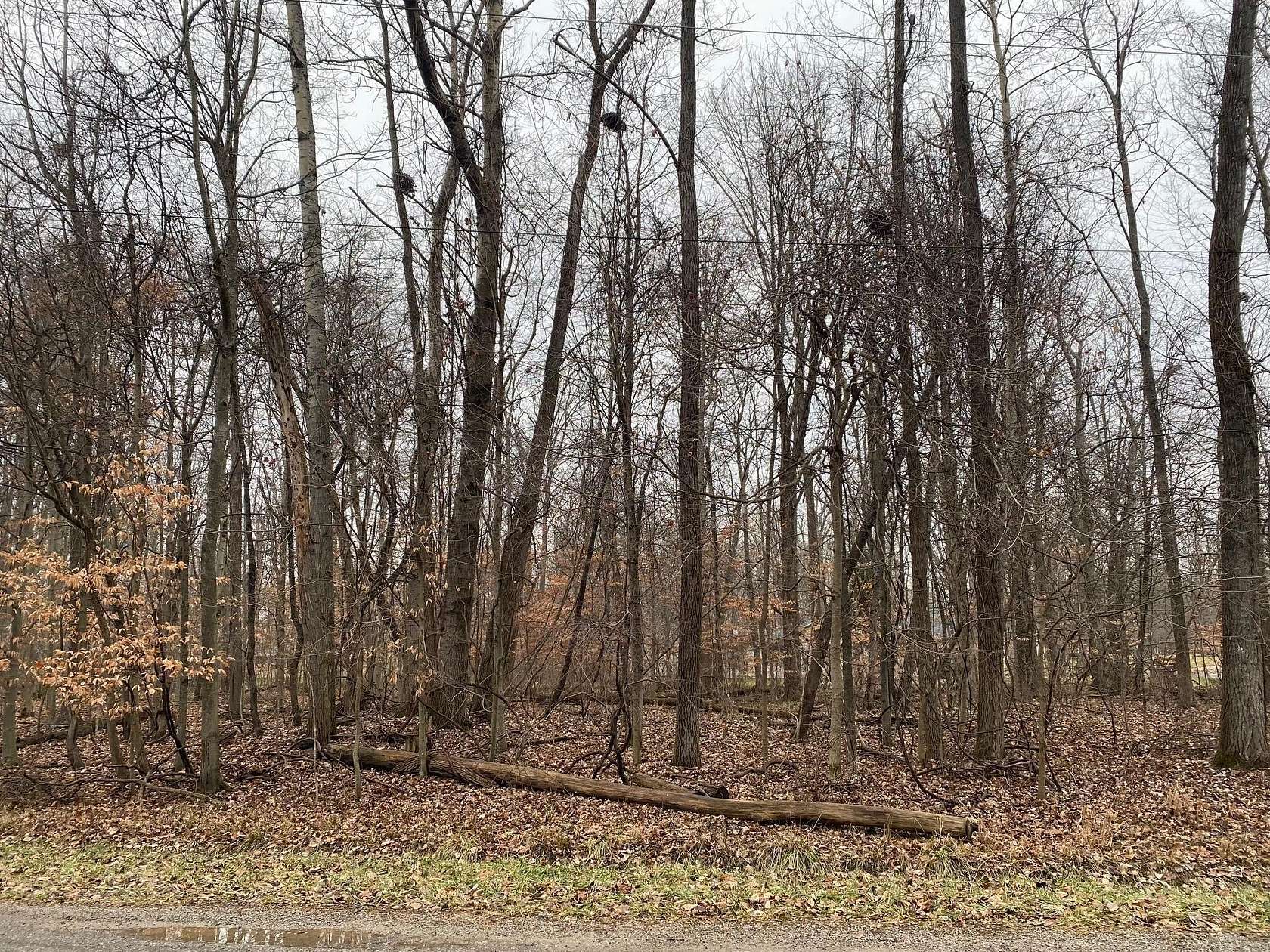 0.24 Acres of Residential Land for Sale in Mount Gilead, Ohio