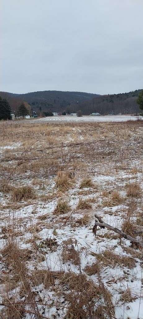 4.42 Acres of Land for Sale in Campbell, New York