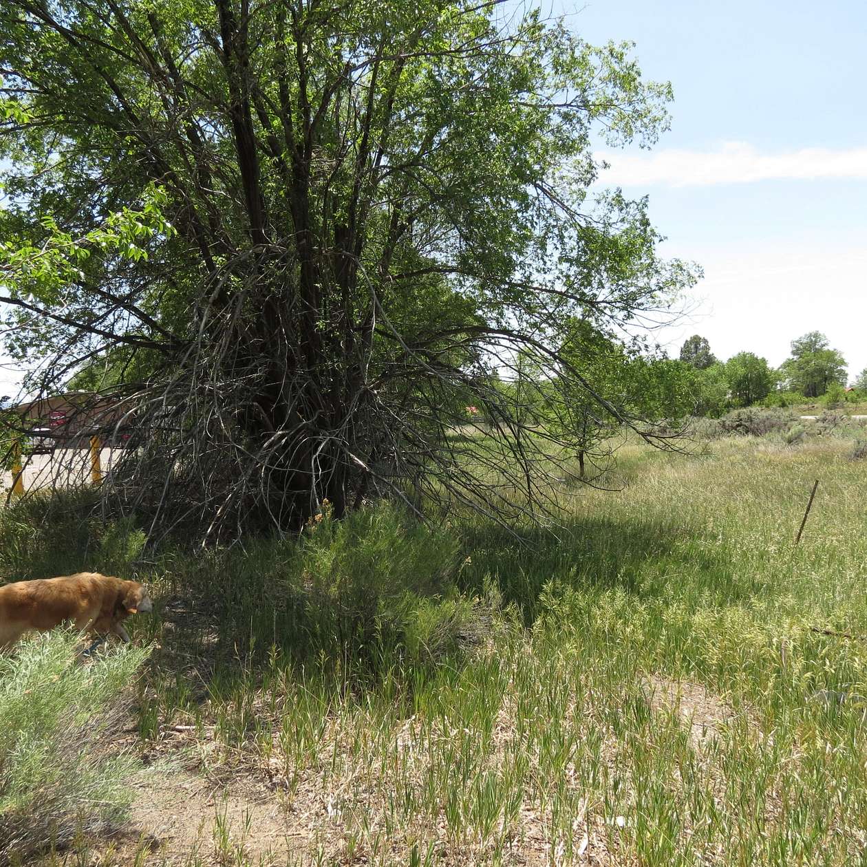 2.53 Acres of Residential Land for Sale in Cuba, New Mexico