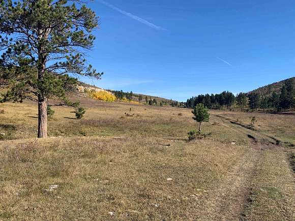 65.49 Acres of Land for Sale in Custer, South Dakota