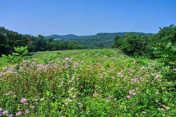 165 Acres of Recreational Land for Sale in Dodgeville, Wisconsin