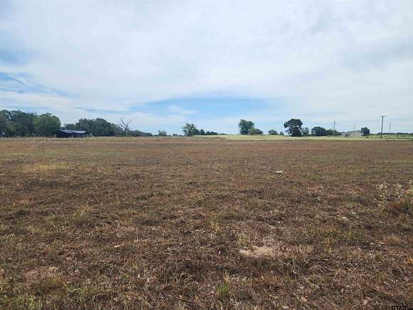 1 Acre of Residential Land for Sale in Pittsburg, Texas