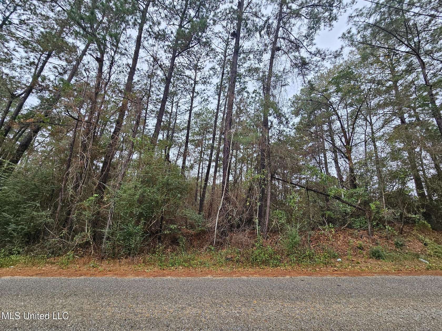 1.4 Acres of Land for Sale in Poplarville, Mississippi