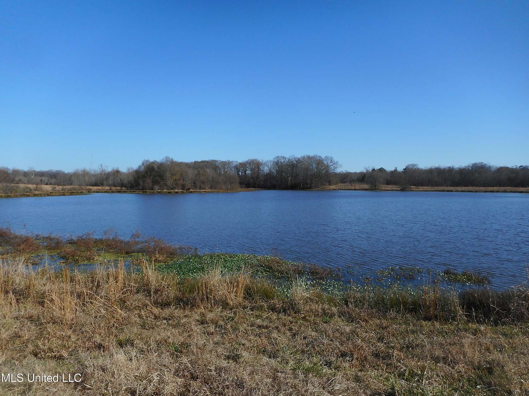 145 Acres of Recreational Land & Farm for Sale in Edwards, Mississippi