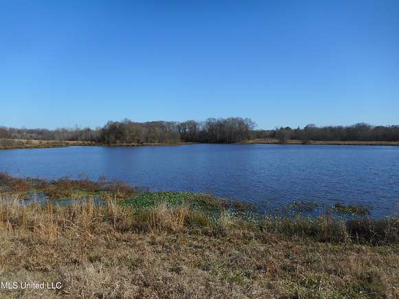 145 Acres of Recreational Land & Farm for Sale in Edwards, Mississippi