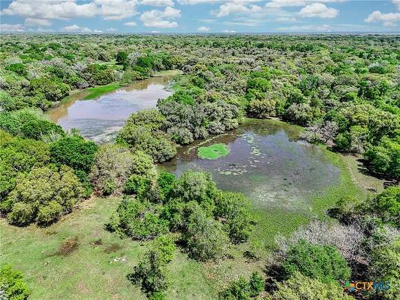 223.01 Acres of Recreational Land & Farm for Sale in Garwood, Texas