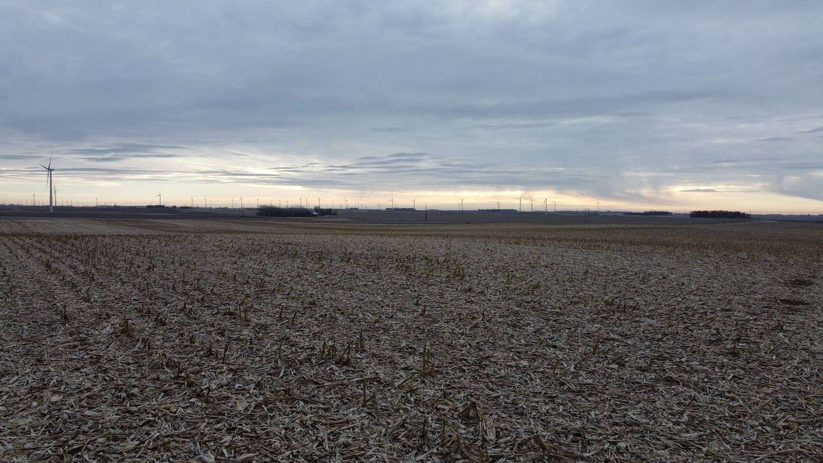 149.87 Acres of Agricultural Land for Sale in Adrian, Minnesota