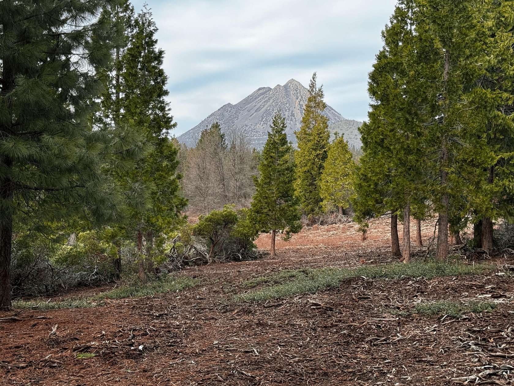 4.1 Acres of Land for Sale in Mount Shasta, California