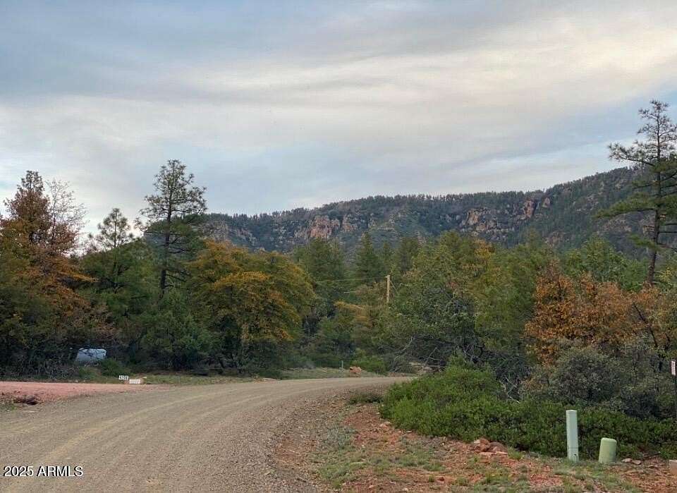 1 Acre of Residential Land for Sale in Pine, Arizona