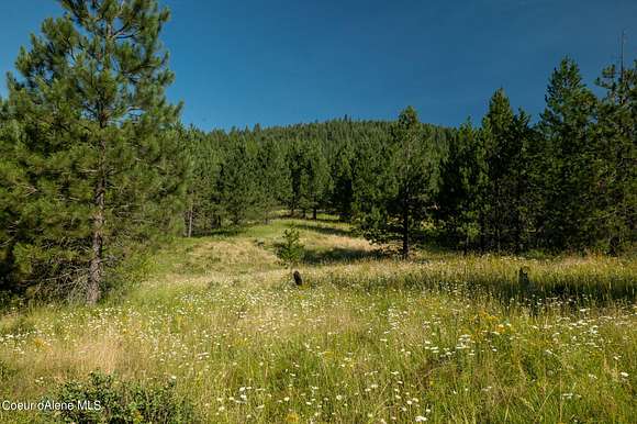 21.25 Acres of Recreational Land for Sale in St. Maries, Idaho