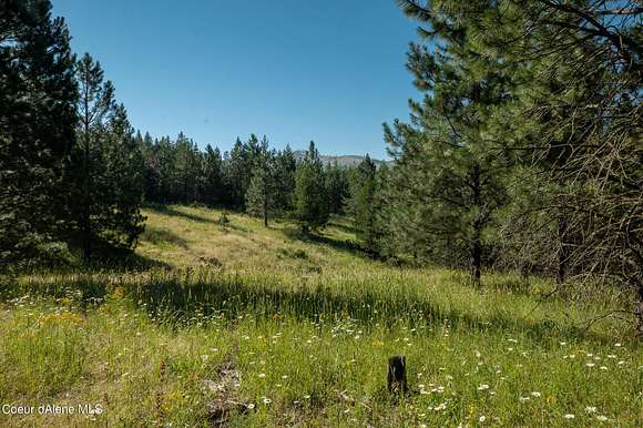 21.25 Acres of Recreational Land for Sale in St. Maries, Idaho - LandSearch