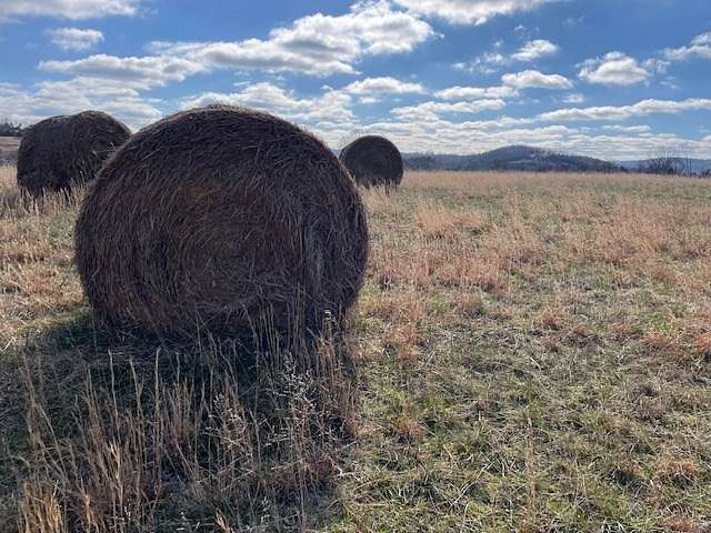 22 Acres of Recreational Land & Farm for Sale in Yellville, Arkansas