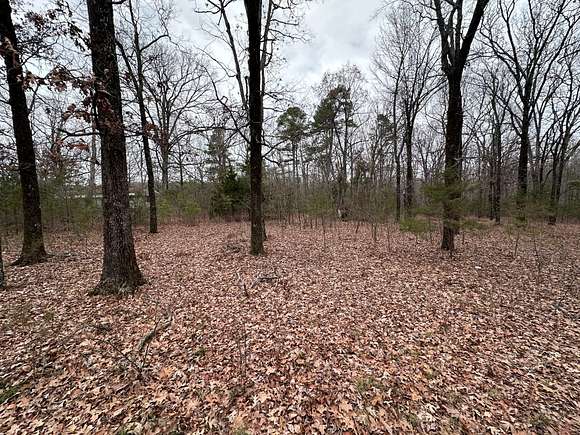 1 Acre of Land for Sale in Concord, Arkansas