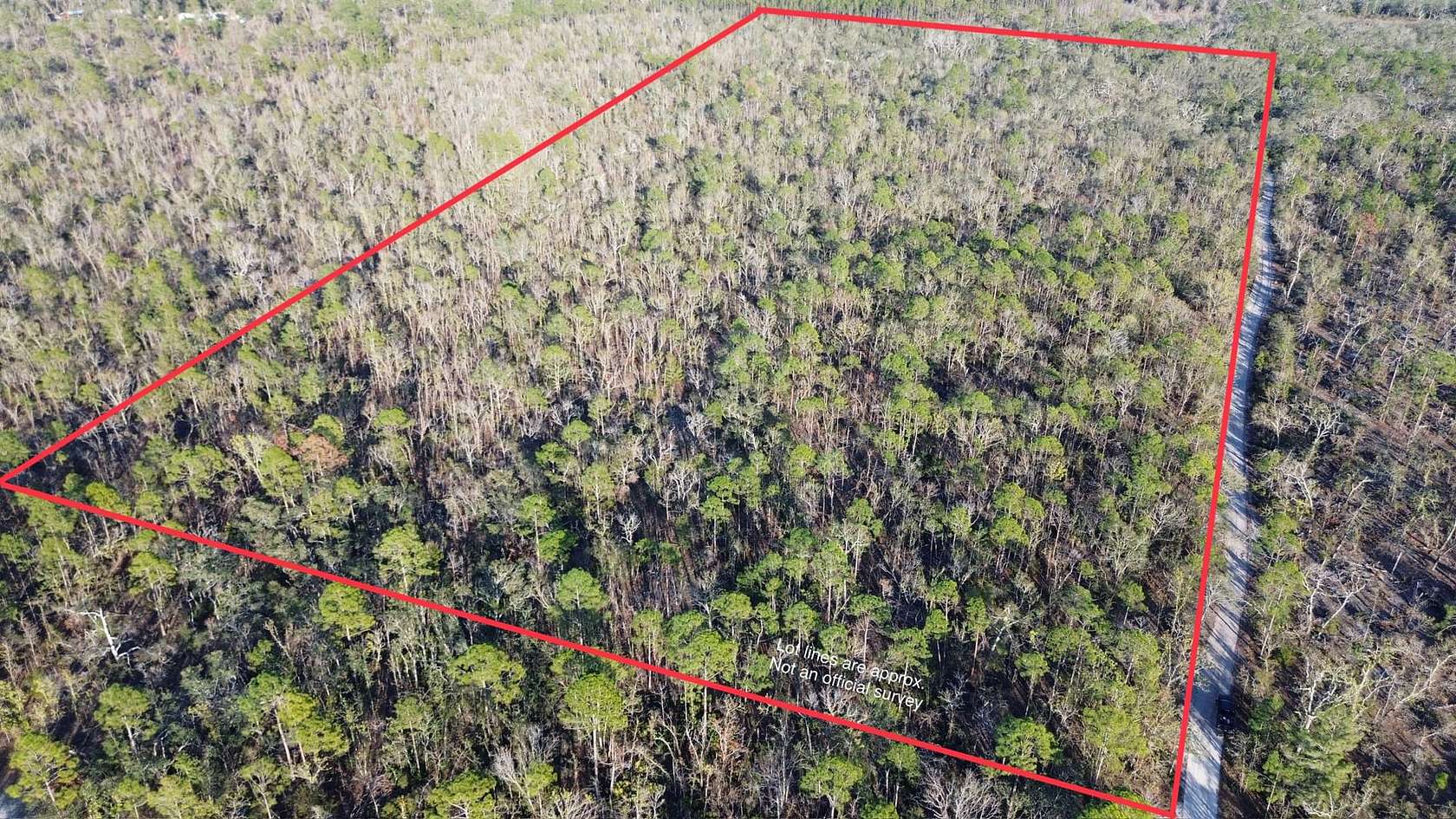 25 Acres of Recreational Land with Home for Sale in Perry, Florida