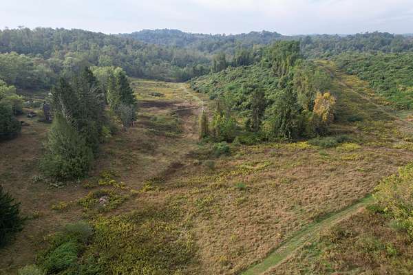 87 Acres of Recreational Land & Farm for Sale in West Brownsville, Pennsylvania