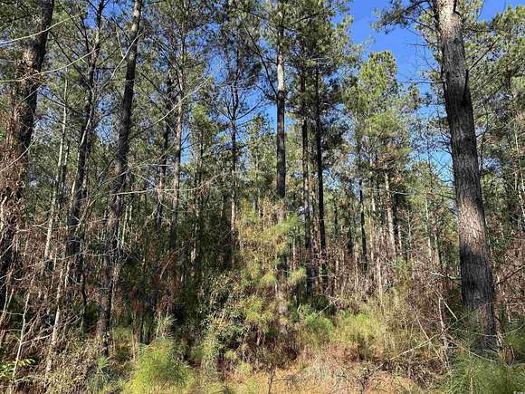 34.08 Acres of Recreational Land for Sale in Greeleyville, South Carolina