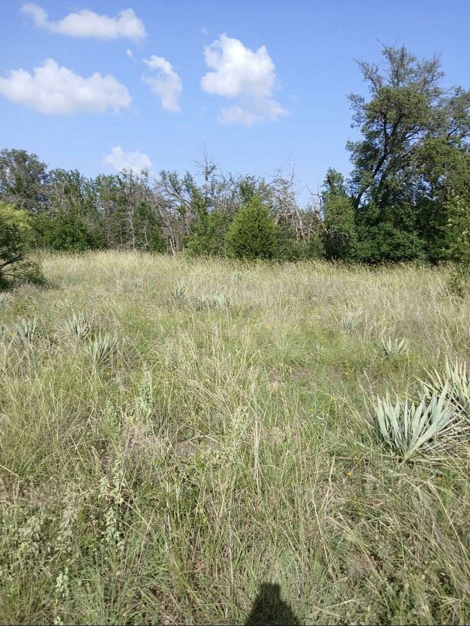 0.5 Acres of Residential Land for Sale in Brownwood, Texas