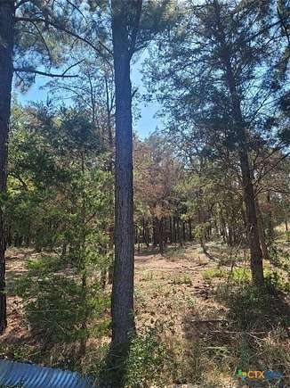 2.842 Acres of Residential Land for Sale in McDade, Texas