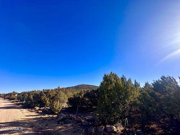 2.5 Acres of Land for Sale in Vernon, Arizona