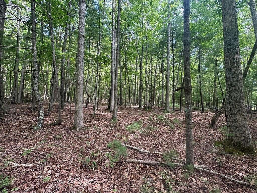 0.522 Acres of Land for Sale in Daniels, West Virginia