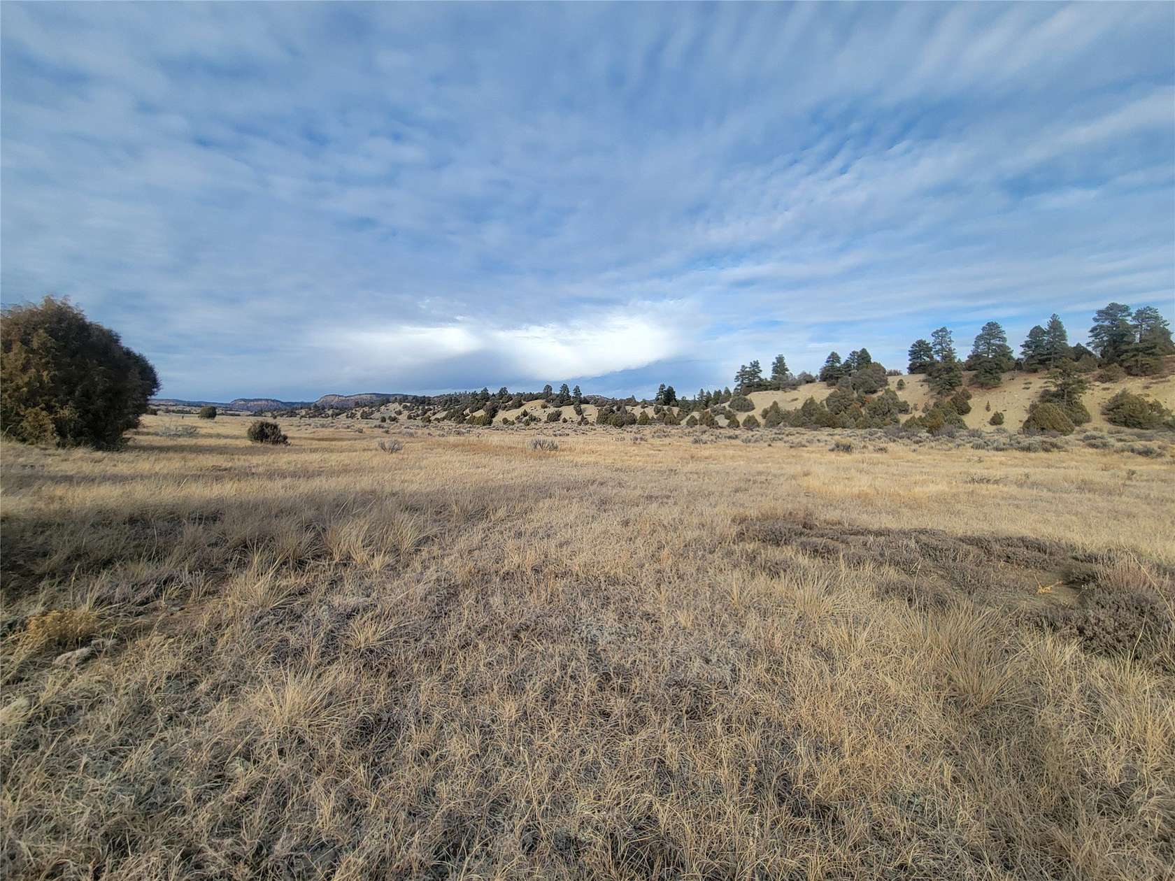 20 Acres of Recreational Land for Sale in Chama, New Mexico
