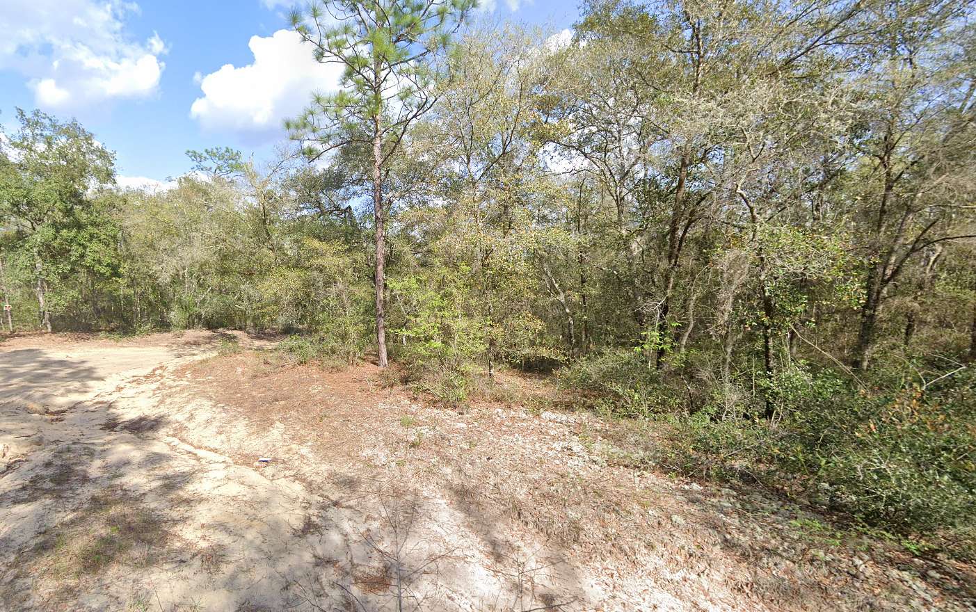 0.26 Acres of Residential Land for Sale in Interlachen, Florida