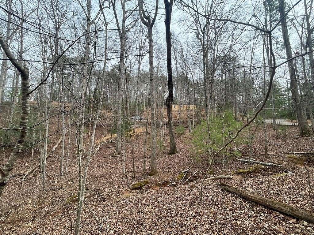 0.52 Acres of Residential Land for Sale in Ellijay, Georgia