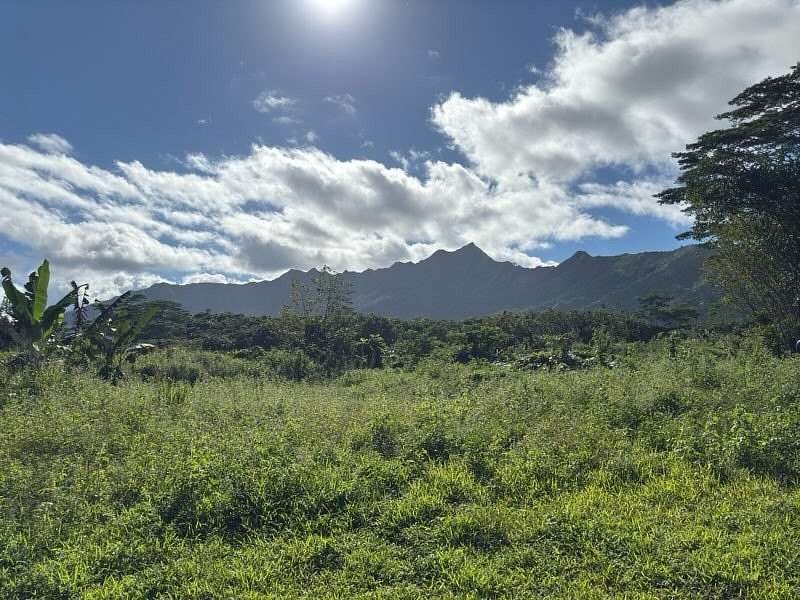 5.004 Acres of Residential Land for Sale in Kilauea, Hawaii