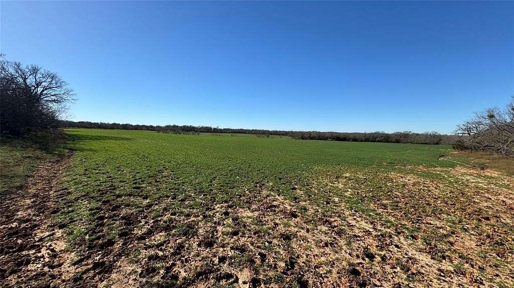 161.08 Acres of Agricultural Land for Sale in Perrin, Texas