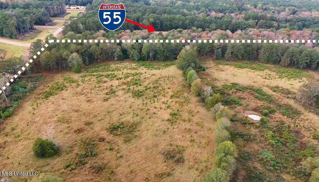 40 Acres of Land for Sale in Summit, Mississippi