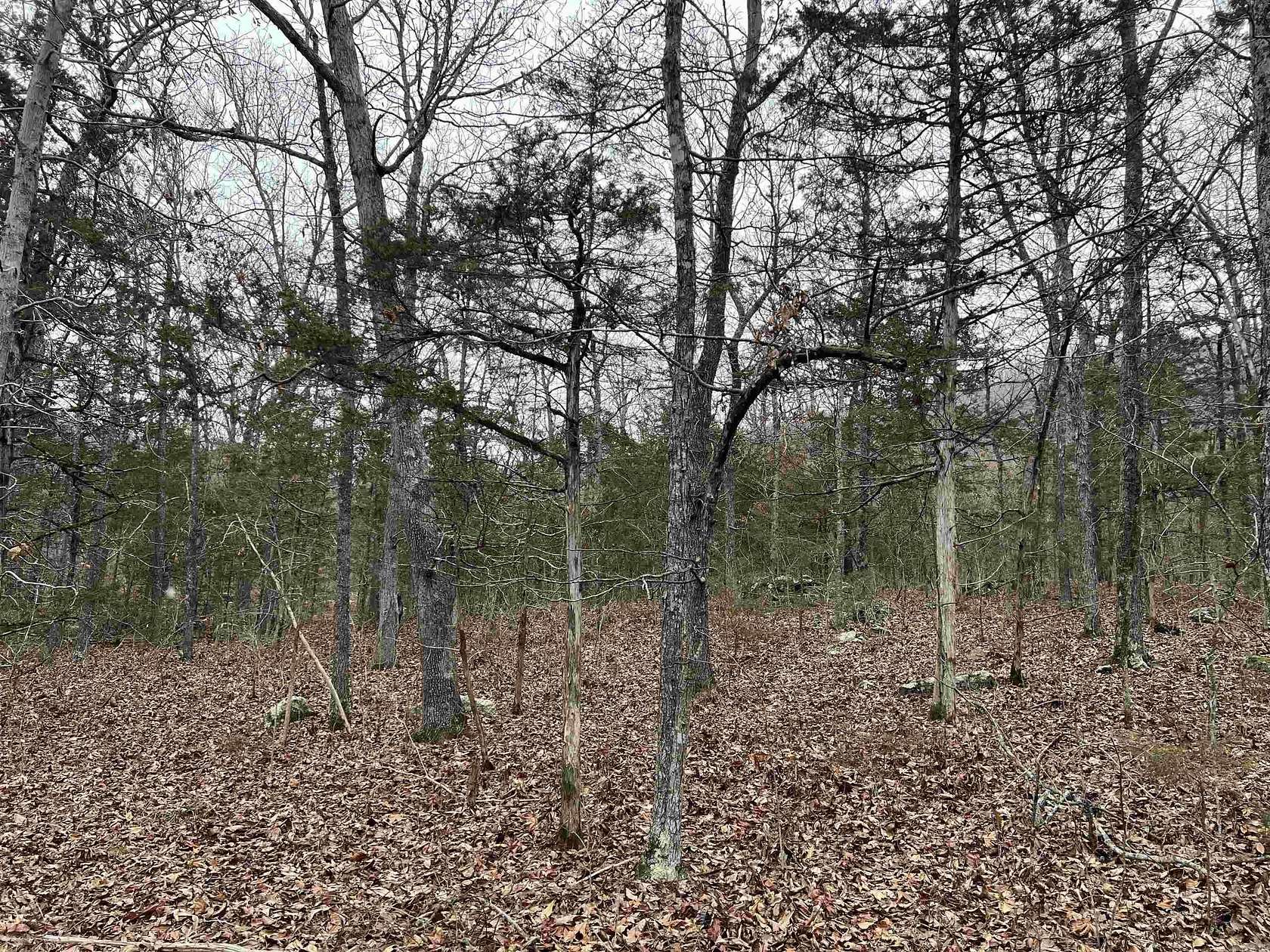 40 Acres of Recreational Land for Sale in Jasper, Arkansas