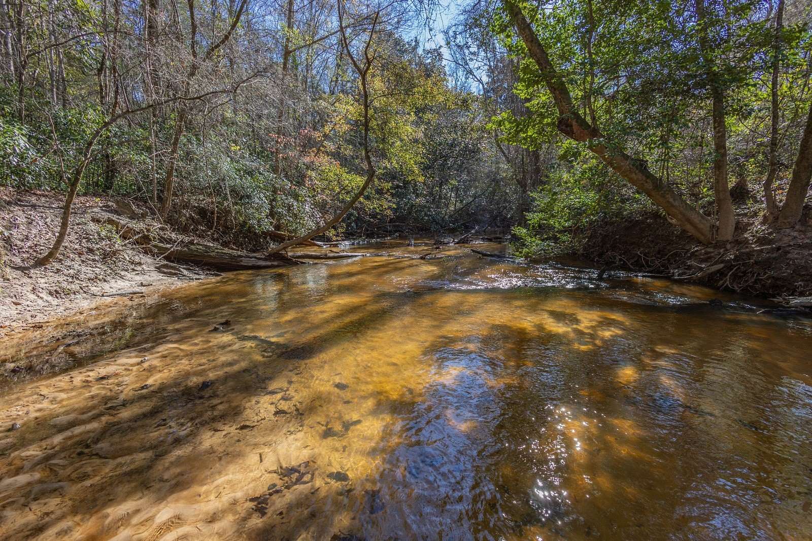 99 Acres of Recreational Land for Sale in Ozark, Alabama