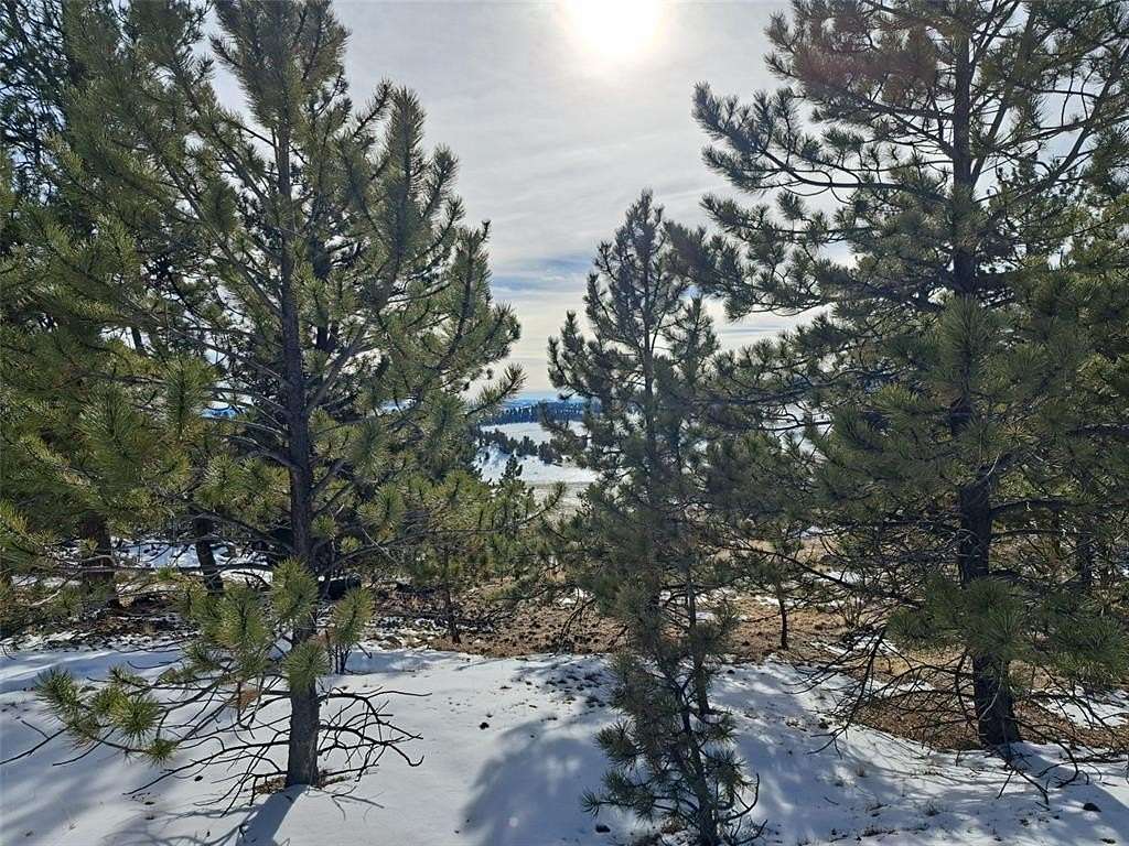 5 Acres of Land for Sale in Hartsel, Colorado