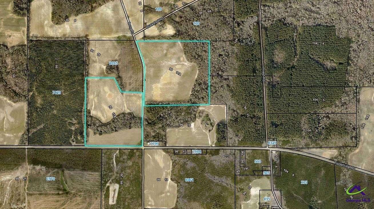 137 Acres of Recreational Land & Farm for Sale in Vienna, Georgia