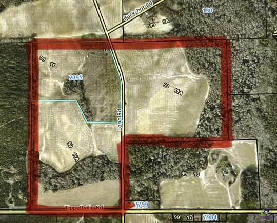 137 Acres of Recreational Land & Farm for Sale in Vienna, Georgia