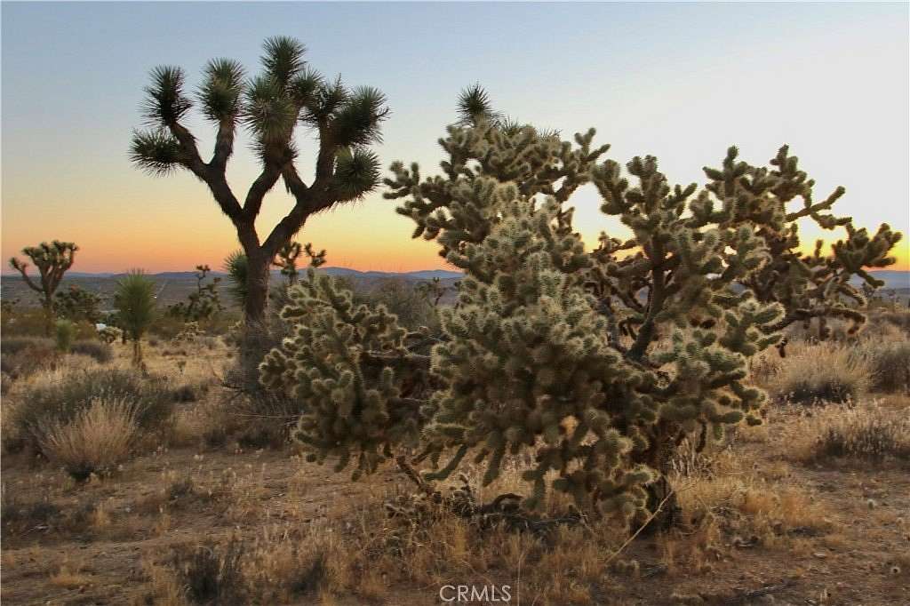 5 Acres of Residential Land for Sale in Joshua Tree, California