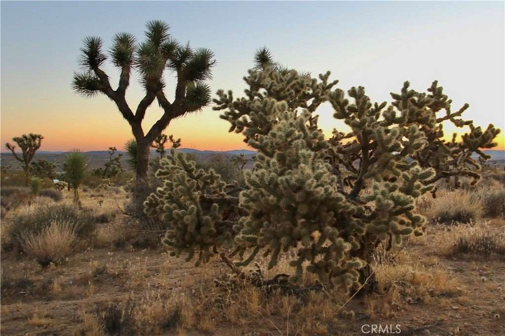5 Acres of Residential Land for Sale in Joshua Tree, California