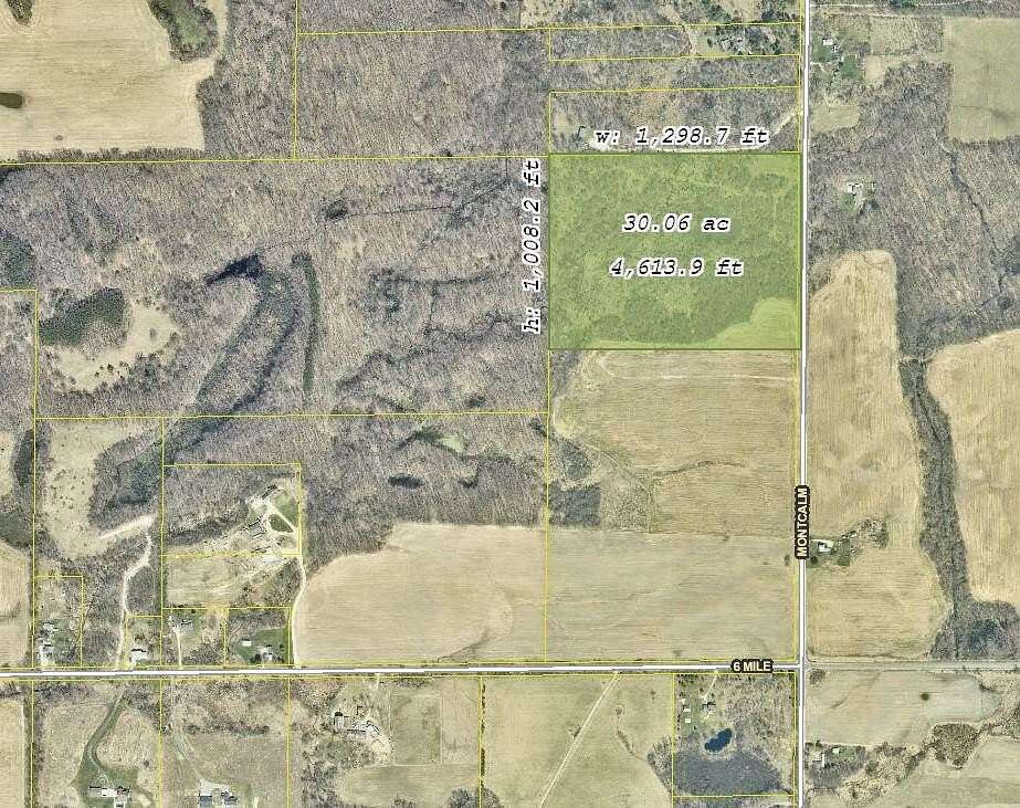 30 Acres of Agricultural Land for Sale in Belding, Michigan