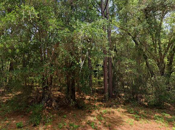 0.48 Acres of Residential Land for Sale in Dunnellon, Florida