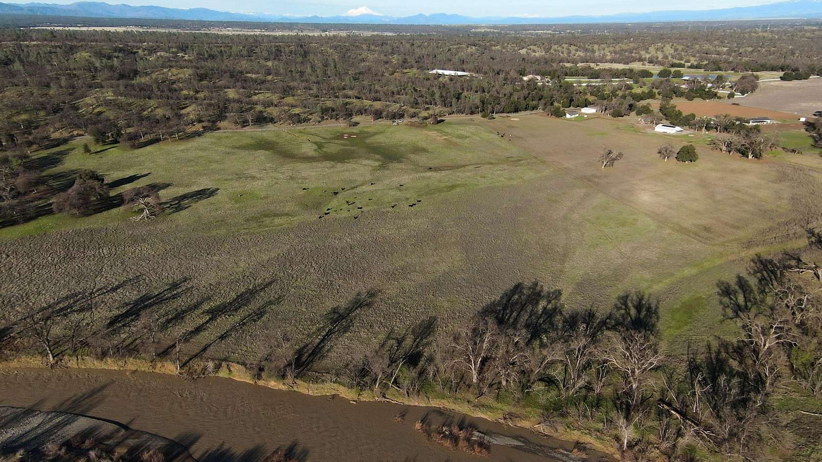 42 Acres of Land for Sale in Cottonwood, California