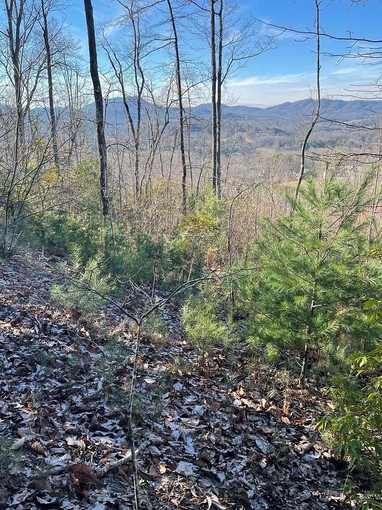 45.63 Acres of Recreational Land for Sale in Young Harris, Georgia