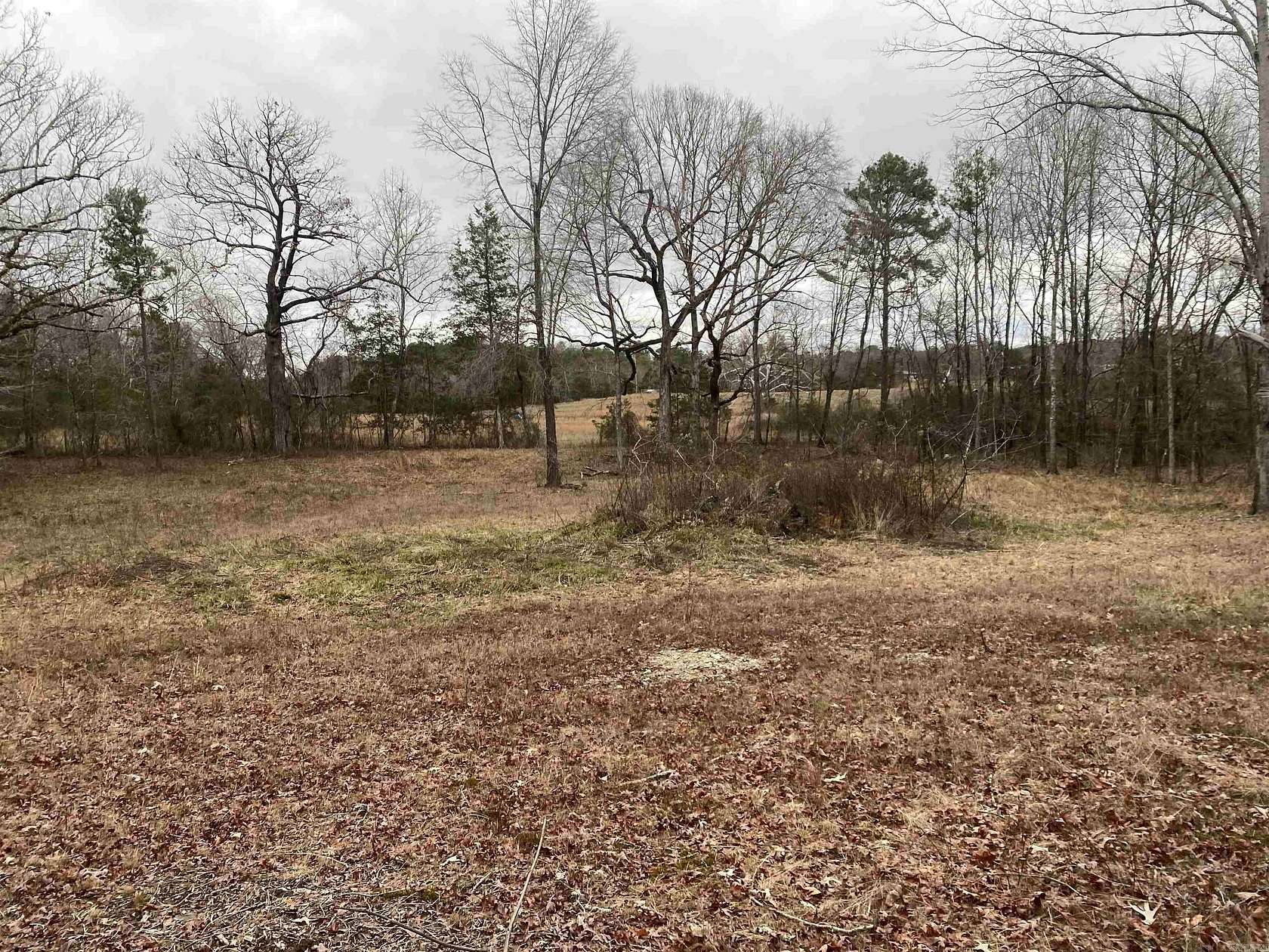 1 Acre of Residential Land for Sale in Story, Arkansas