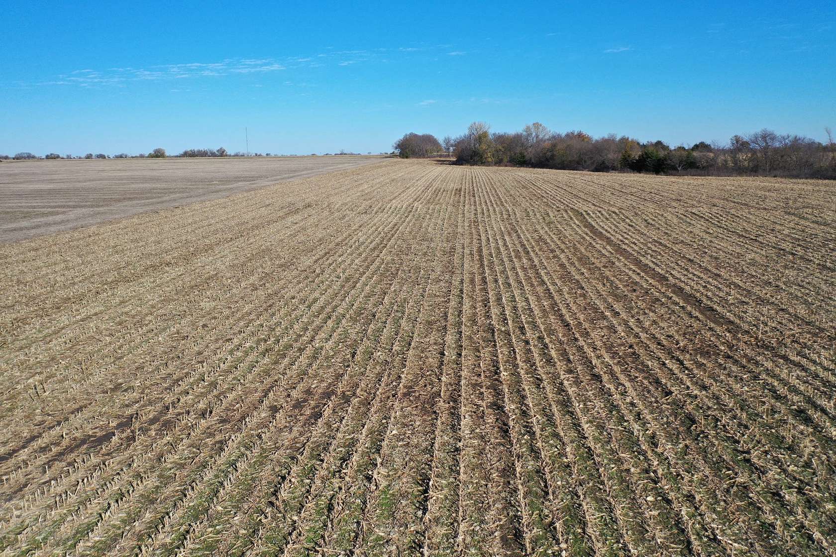 80 Acres of Land for Auction in Williamsburg, Kansas