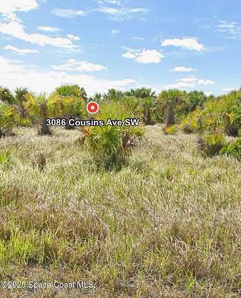 0.26 Acres of Land for Sale in Palm Bay, Florida