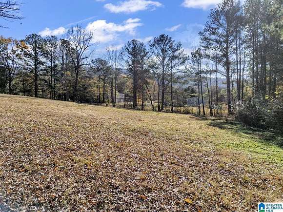 33.9 Acres of Agricultural Land with Home for Sale in Odenville, Alabama