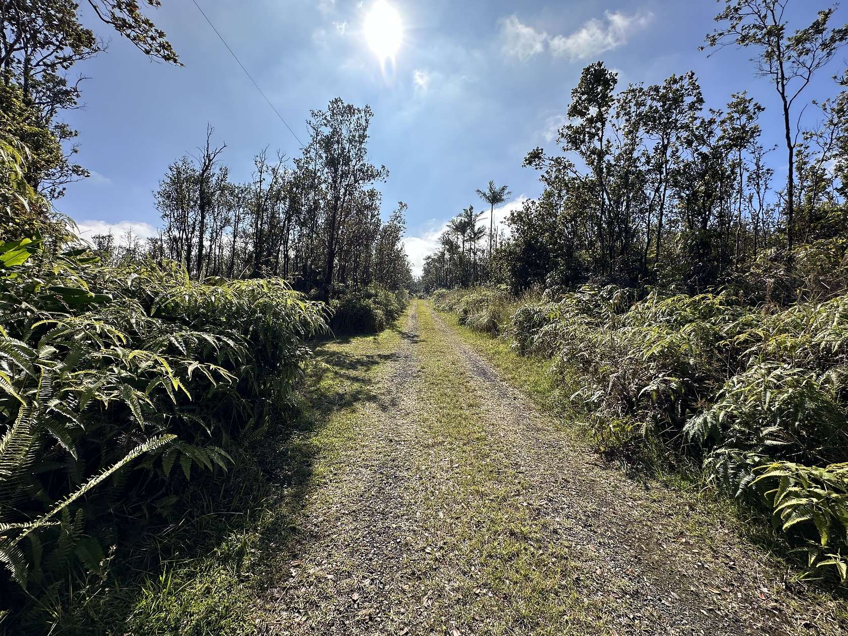 3 Acres of Land for Sale in Volcano, Hawaii